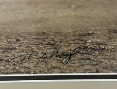 Thomas Mangelsen – Amboseli Crossing (16×20) In Gallery Frame