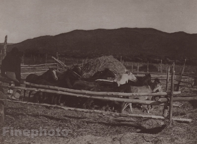 c1900/72 Vintage EDWARD CURTIS Photo Gravure Native American Indian Horse Corral