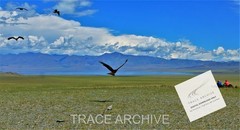 Nature Landscape Photography | Digital Download Image – Background Wallpaper L21