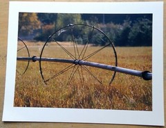 farm water sprinkler SW WA Epsom photo paper 8½” x 11″ print image 7″ x 9¼”