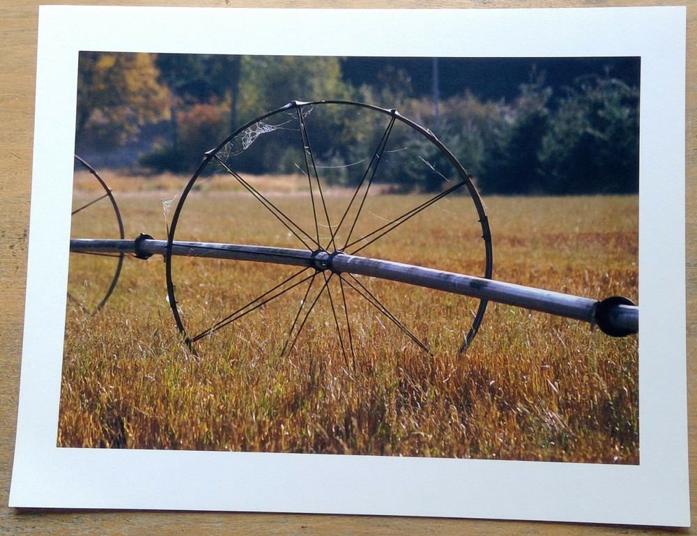 farm water sprinkler SW WA Epsom photo paper 8½” x 11″ print image 7″ x 9¼”