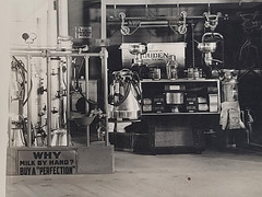 1940s 50s Pacific Dairy Equipment Co Photograph Oakland San Francisco CA Milk