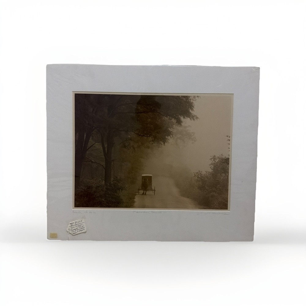 Vintage Bill Coleman Signed Numbered Matted 80LL Paradise Found Photograph AMISH