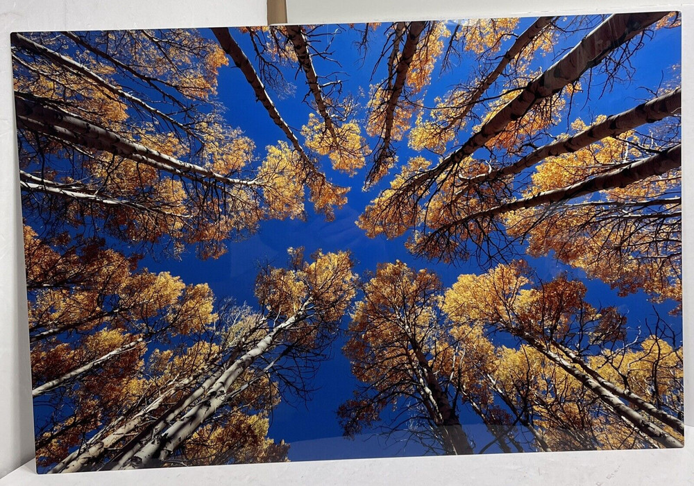 Float Mounted Metal Print “Into Blue” 20” x 30″