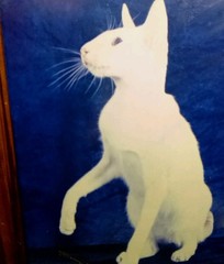 White Cat On Blue Black Background Manipulated Photograph? Original Signed Art.