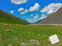 Nature Landscape Photography | Digital Download Image – Background Wallpaper L27