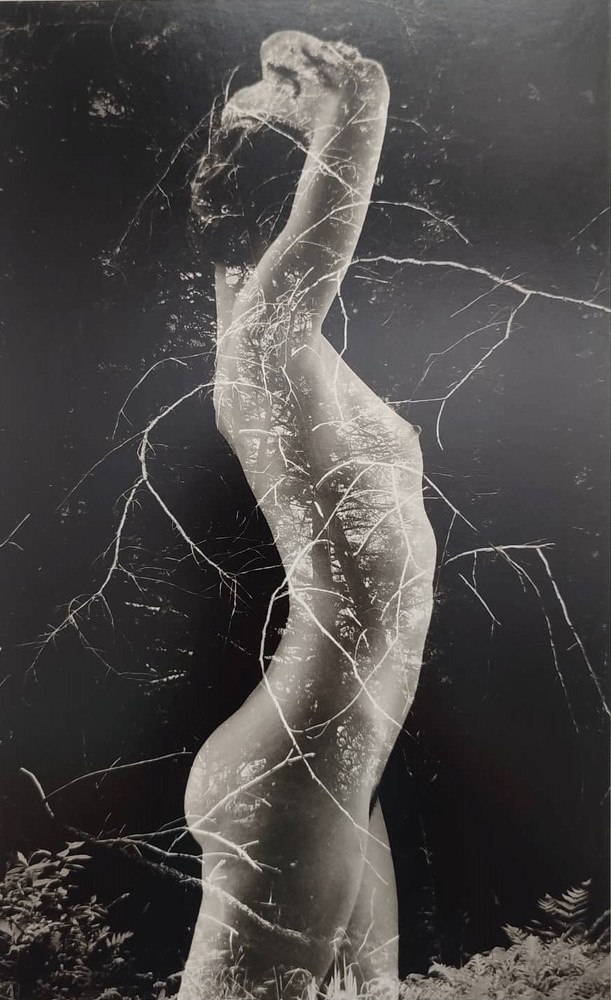 Ruth Bernhard (American, 1905-2006). Symbiosis, 1971.