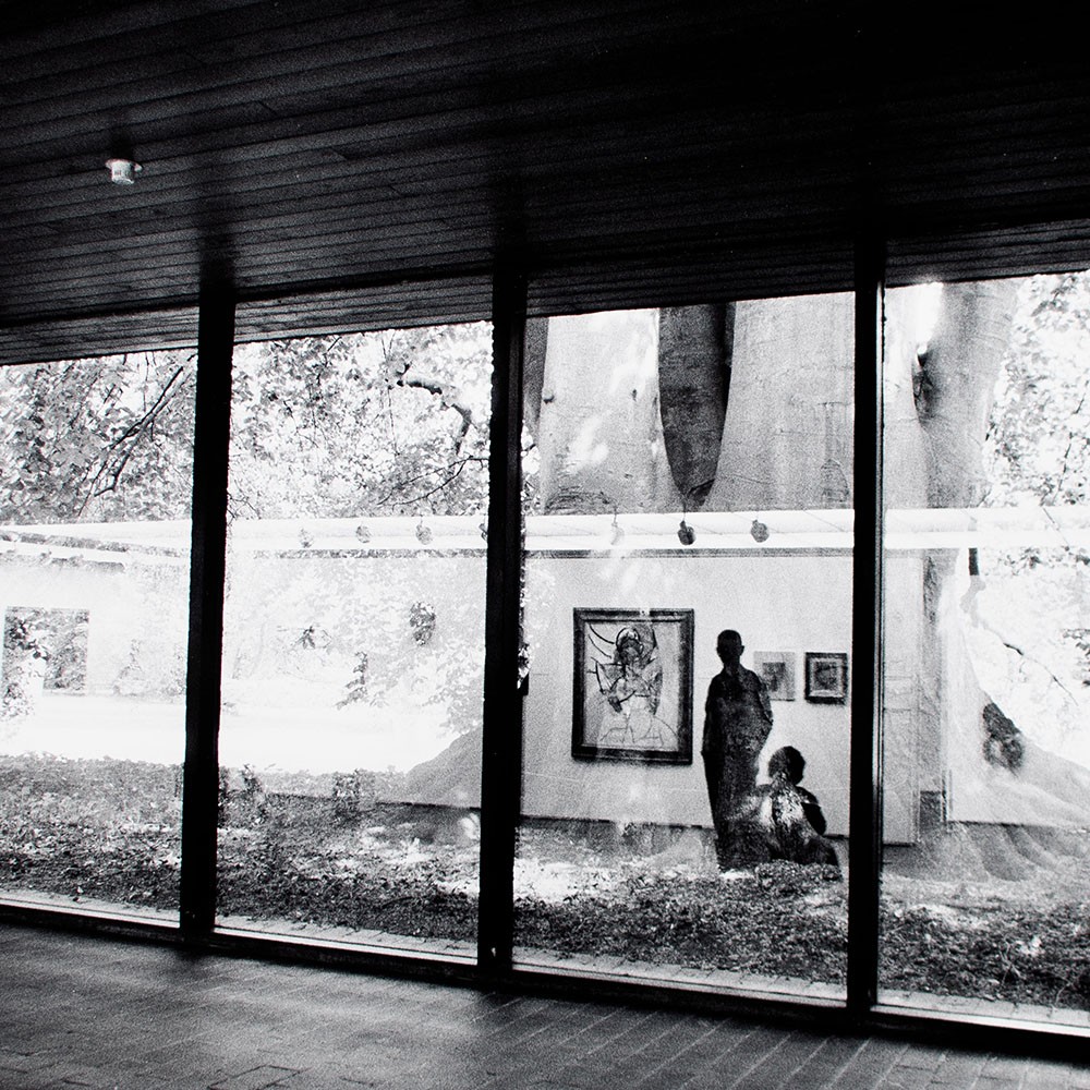 Gisela Franke Berlin Gallery Art Reflection Tree Photography 1980s