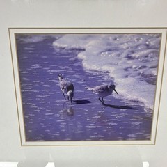 Framed Matted Wildlife Photography Birds on Shore Color Landscape Photograph