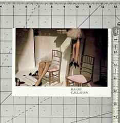 Harry Callahan (1912-1999) Art Announcement Card – Color – 2002
