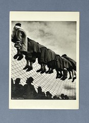 Emil Heilborn 1934 Art Photo Print Card By Fotofolio 4”x6” Dog Exhibition