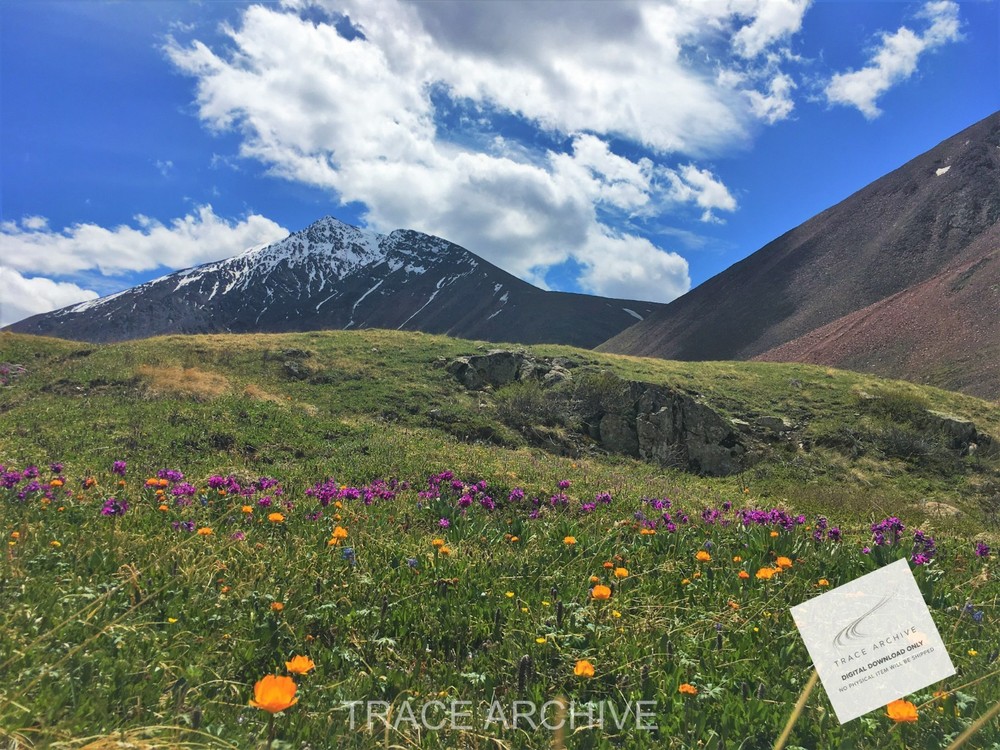 Nature Landscape Photography | Digital Download Image – Background Wallpaper L28