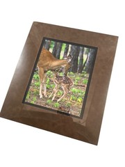 NEW Wildlife Photography Print: Stranger In The Woods ‘Mama Returns’ 8×10 Matted