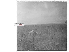 Bataille Somme, Plate Glass Stereo, Positive Antique Black & White