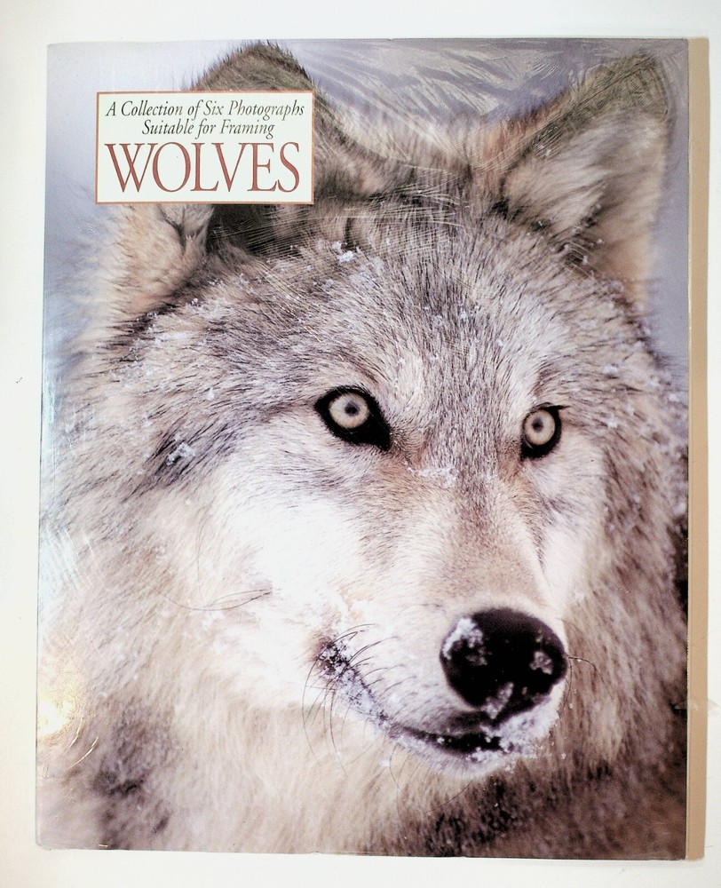 Wolves Collection Of 6 Wolf Photograph Art Prints For Framing 11 x 14 SEALED