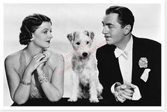 William Powell And Myrna Loy With Asta Thin Man 8 x 12 Silver Halide Photo