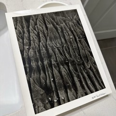 Original 1984 Handmade Darkroom Gelatin Silver Print by Richard J. Hedges