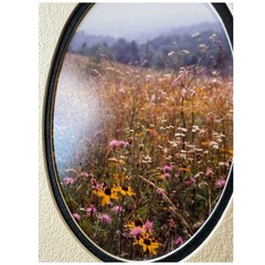 Barry Gamow signed Wild Flowers & Butterfly Nature Photography Art 5″ x 7″ Mated