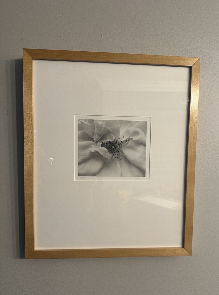 Anne Larsen, Rose No. 1 Carmel Valley California, 1999