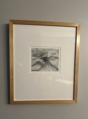 Anne Larsen, Rose No. 1 Carmel Valley California, 1999
