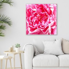 Peony, Abstract Floral, Nature Art, Fine Art Macro Photo on Metal, Canvas, Paper