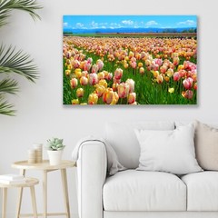 Tulip Field, Oregon Scenic Landscape – Fine Art Photo on Metal, Canvas or Paper