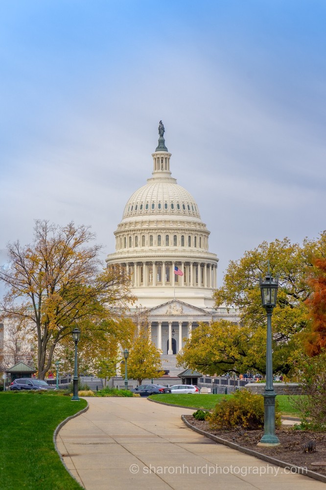 United States Capital Building- photography print photo nature wall décor