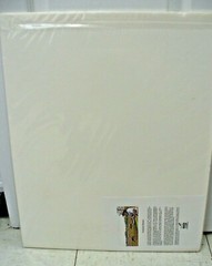 MATTED PHOTOGRAPHY Fishen Great Blue 2 in Paynes Prairie By Dom Martino 16x20in