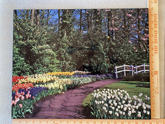 Flower Garden High Gloss Mounted Photo 16 x 20 On 5/8 Thick Backing Board