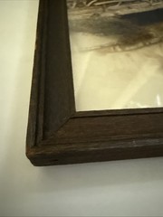 Moanalua Hawaiian islands Tinted Photo Nicely Framed Hawaii Palm trees