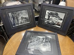 7 Framed & Matted Ansel Adams Prints: Denali, Winter Storm, Siesta, Etc