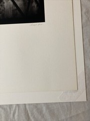 MICHAEL KENNA Signed GREENHOUSE Toned Gelatin Silver Print LIMITED EDITION 1979
