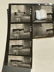 Bunny Yeager Contact Sheet Sharon Knight 1956 Art Original