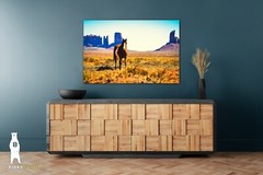 Monument Valley Horse – Utah Fine Art Photography by Bear8Photo – Desert Décor