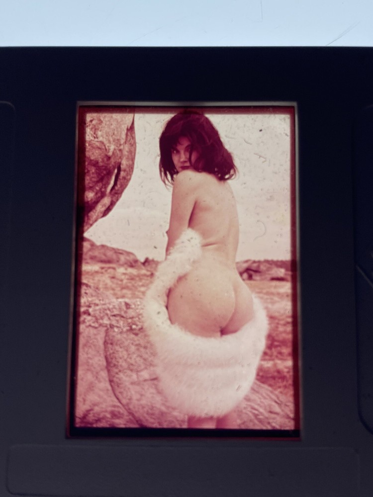 Slide Slide – Female Nude Nude and Art Photography Circa 1970 FD8