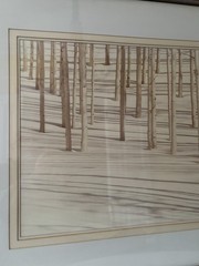 HUGE Signed Sepia Photograph 42″ x 32″ – Birch Trees in Snow by William Plante