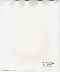 Harry CALLAHAN: Horseneck Beach, 1978 / Dye-transfer / Ptd 1980-1 / Stamped