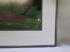 Framed “Cloud Mountain” Photograph by Gary Carlson