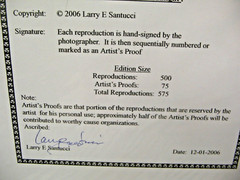 ART PHOTOGRAPHY 16×20 Pelican Perch B&W A/P Matte Acid Free by Larry Santucci