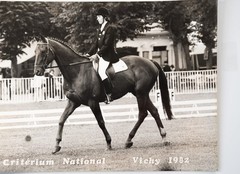 Vintage Film Photo France Equestrian Horse Show Jumping 18X24cm 1970
