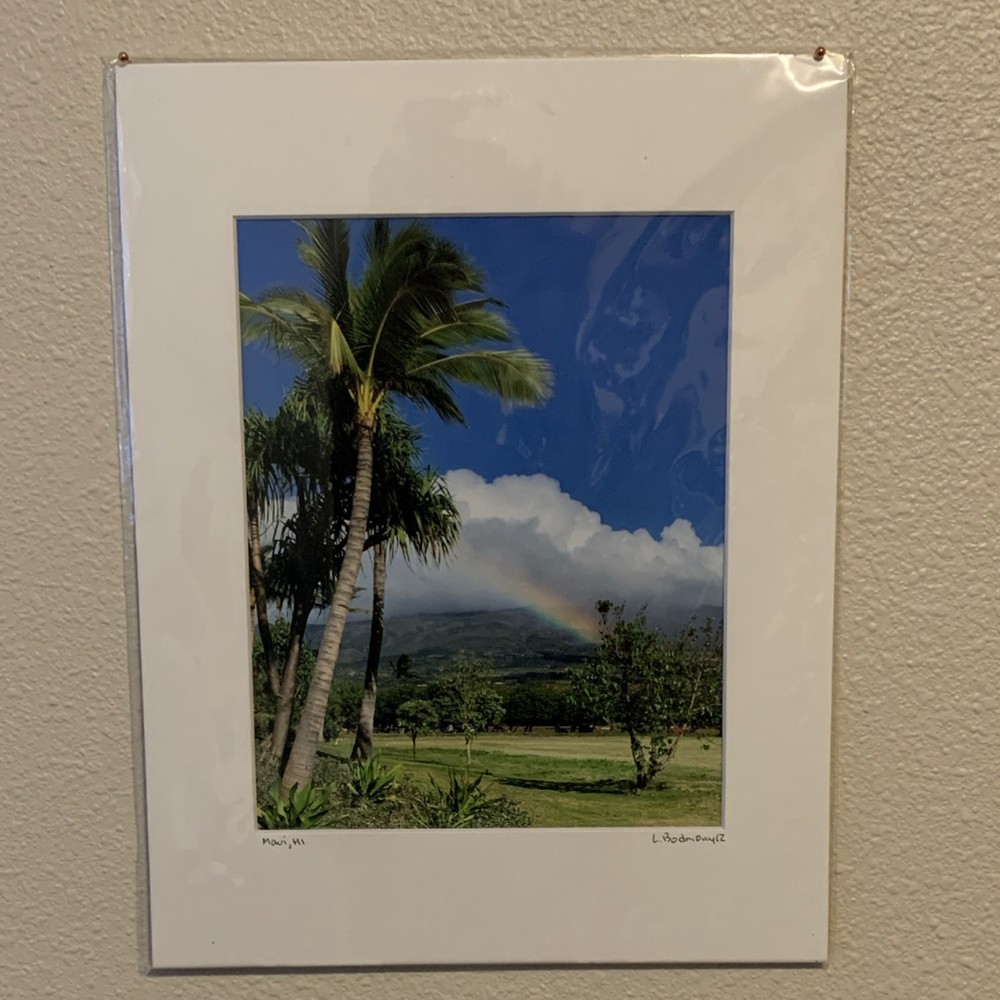 Signed Matted Maui Landscape Photograph Print Showing Rainbow Palm Tree Hawaii