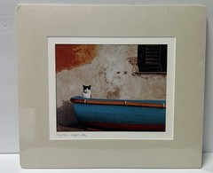 John And Debora Scanlan AP Italy Cat Photograph Print With COA Signed Numbered