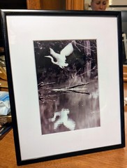 Limited Print By Donna T, The Swamp Ghost , 1/ 50 Signed, Matted And Framed
