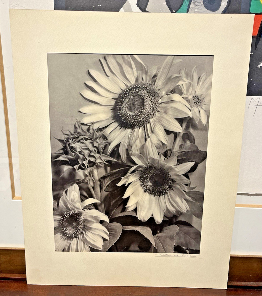 San Francisco Signed Christine B Fletcher Gelatin Silver Print Smithsonian