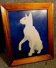 White Cat On Blue Black Background Manipulated Photograph? Original Signed Art.