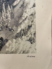 VTG CRATER LAKE LODGE National Park Oregon Photo Print Lou Hallock Oregon
