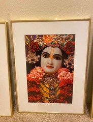 Non Reflective Picture Set of Radha-Krishna & Gaura-Nitai
