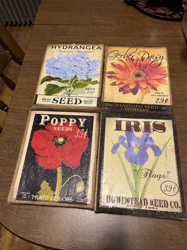 Deac. Flower Seed Pack Art 4 Assorted Pictures