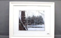 Mark Balcom Wolf (Massachusetts) “Winter Pines” Signed Photo Set of 3