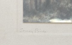 Lg VTG J.M. Garrison Hand Tinted Oil Color Photo Torrey Pines 12.5”x23.5” VGC